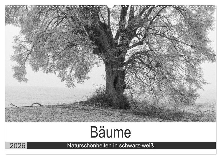 Produktbild: B&auml;ume - Natursch&ouml;nheiten in schwarz-wei&szlig; (Wandkalender 2026 DIN A2 quer), CALVENDO Monatskalender
