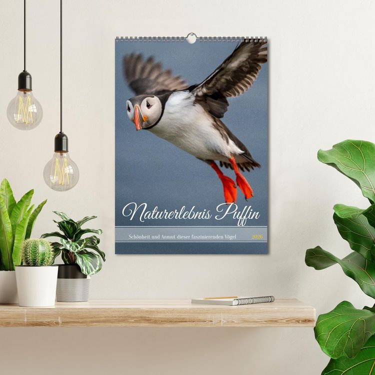 Produktbild: Naturerlebnis Puffin (Wandkalender 2026 DIN A3 hoch), CALVENDO Monatskalender
