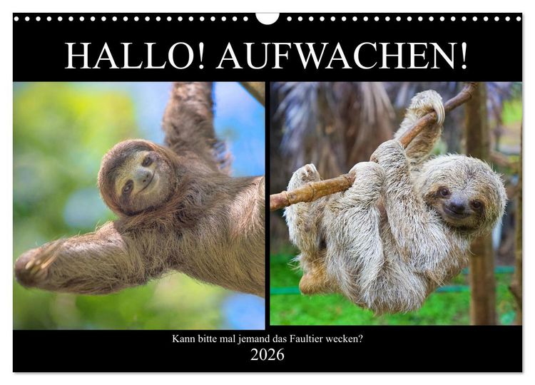 Produktbild: Hallo! Aufwachen! Kann bitte mal jemand das Faultier wecken? (Wandkalender 2026 DIN A3 quer), CALVENDO Monatskalender