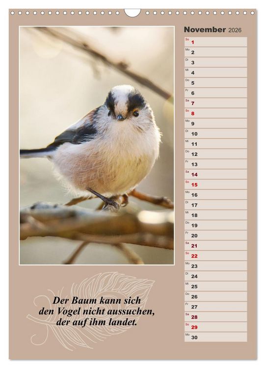 Produktbild: Schwanzmeisen, die niedlichen kleinen Pfannenstielchen (Wandkalender 2026 DIN A3 hoch), CALVENDO Monatskalender