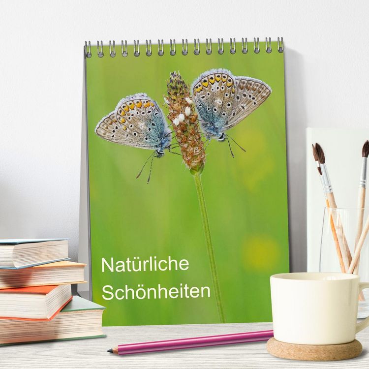 Produktbild: Insekten,Sch&ouml;nheiten der Natur (Tischkalender 2026 DIN A5 hoch), CALVENDO Monatskalender