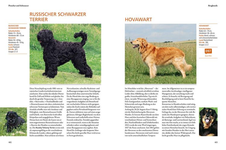 Produktbild: Der KOSMOS-Hundef&uuml;hrer