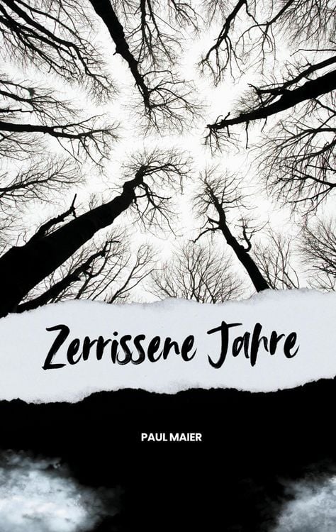 Produktbild: Zerrissene Jahre