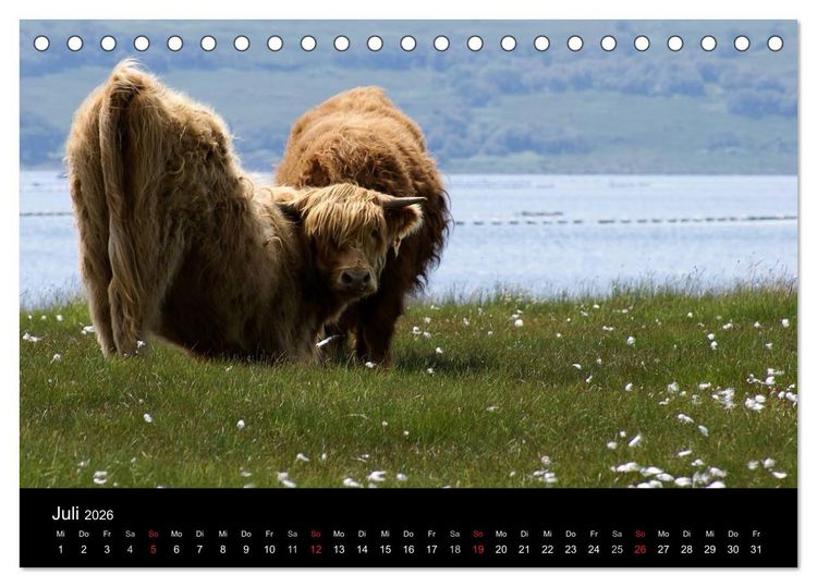 Produktbild: Schottland 2026 (Tischkalender 2026 DIN A5 quer), CALVENDO Monatskalender