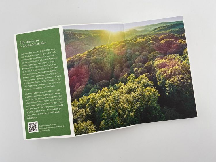 Produktbild: Gebrauchsanweisung f&uuml;r den Wald