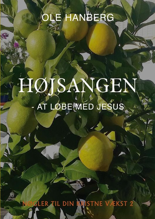 Produktbild: H&oslash;jsangen