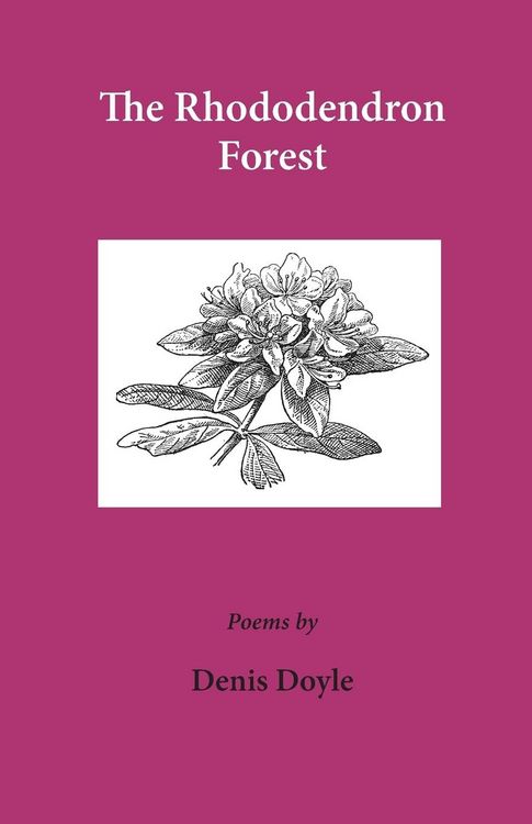 Produktbild: The Rhododendron Forest