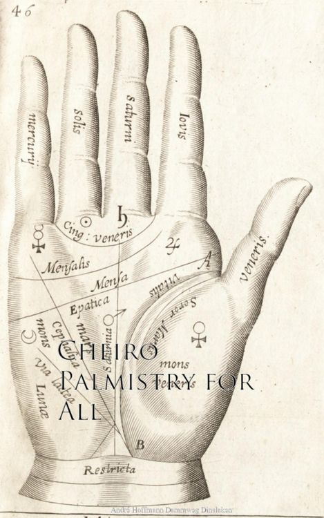 Produktbild: Palmistry for All