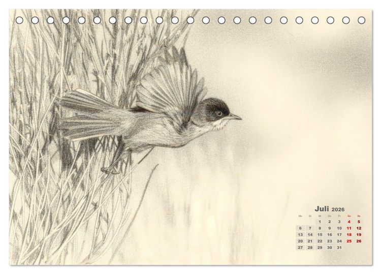 Produktbild: Wilde Seelen - Tierische Momente in Graphit (Tischkalender 2026 DIN A5 quer), CALVENDO Monatskalender