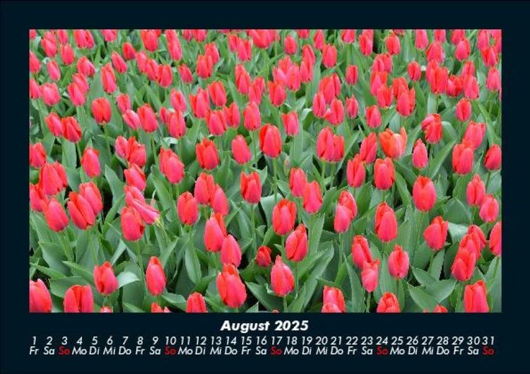 Produktbild: Blumenzauber 2025 Fotokalender DIN A5