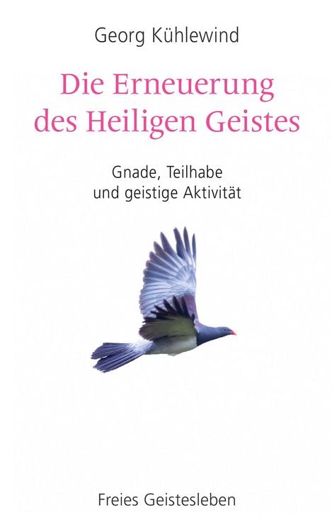 Produktbild: Die Erneuerung des Heiligen Geistes