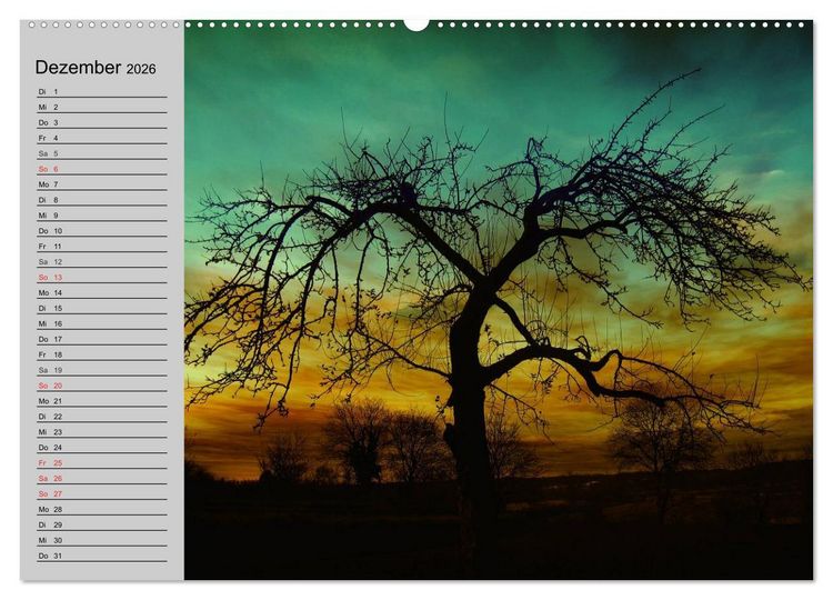 Produktbild: Magische B&auml;ume (hochwertiger Premium Wandkalender 2026 DIN A2 quer), Kunstdruck in Hochglanz