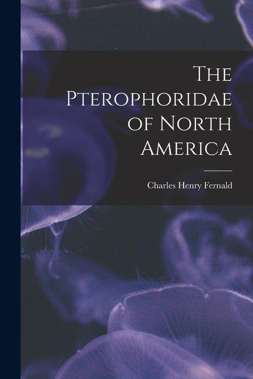 Produktbild: The Pterophoridae of North America