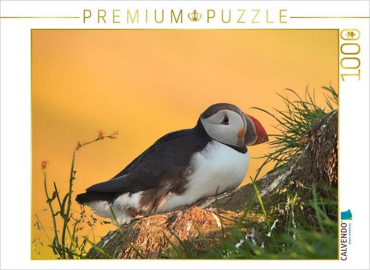 Produktbild: CALVENDO Puzzle im Licht des Nordens | 1000 Teile Lege-Gr&ouml;&szlig;e 64x48cm Foto-Puzzle f&uuml;r gl&uuml;ckliche Stunden