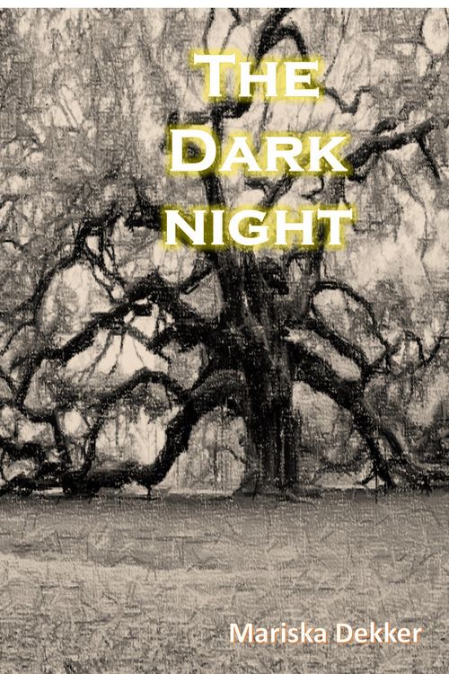 Produktbild: Dark Night
