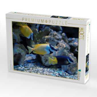 Produktbild: CALVENDO Puzzle Fuchsgesicht (Siganus vulpinus) | 1000 Teile Lege-Gr&ouml;&szlig;e 64x48cm Foto-Puzzle f&uuml;r gl&uuml;ckliche Stunden