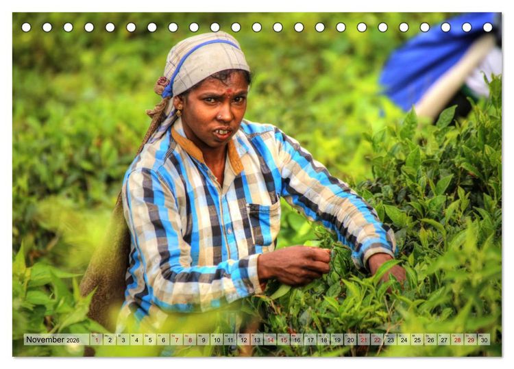 Produktbild: Sri Lanka - Tempel, Tee und Elefanten (Tischkalender 2026 DIN A5 quer), CALVENDO Monatskalender