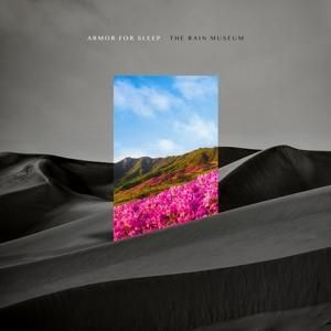 Produktbild: The Rain Museum