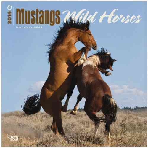 Produktbild: Mustangs Wild Horses Calendar