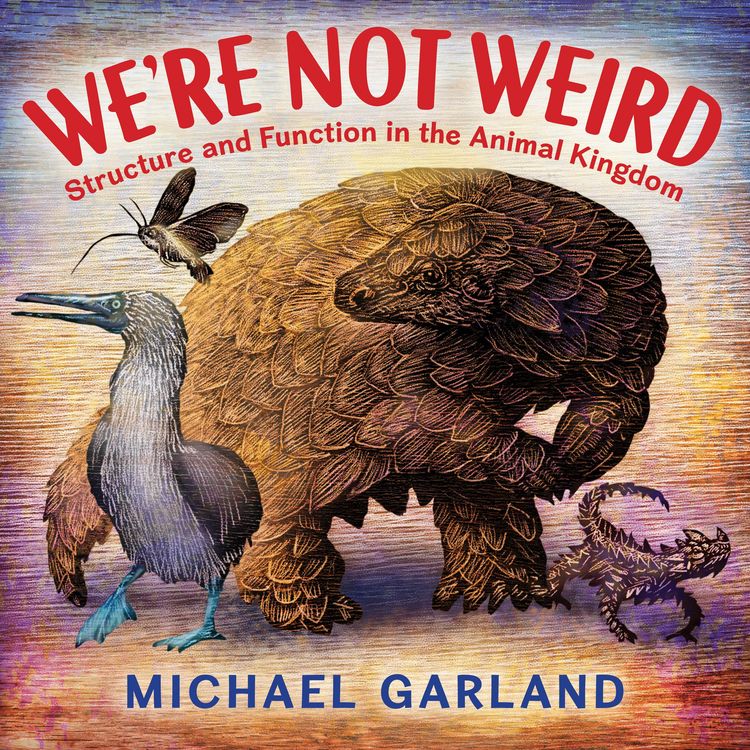 Produktbild: We're Not Weird