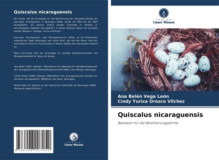 Produktbild: Quiscalus nicaraguensis
