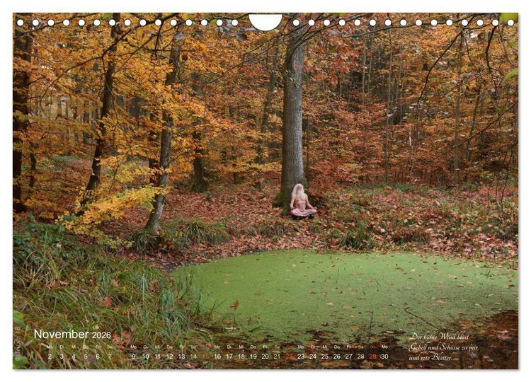 Produktbild: HAIKU AM TEICH (Wandkalender 2026 DIN A4 quer), CALVENDO Monatskalender