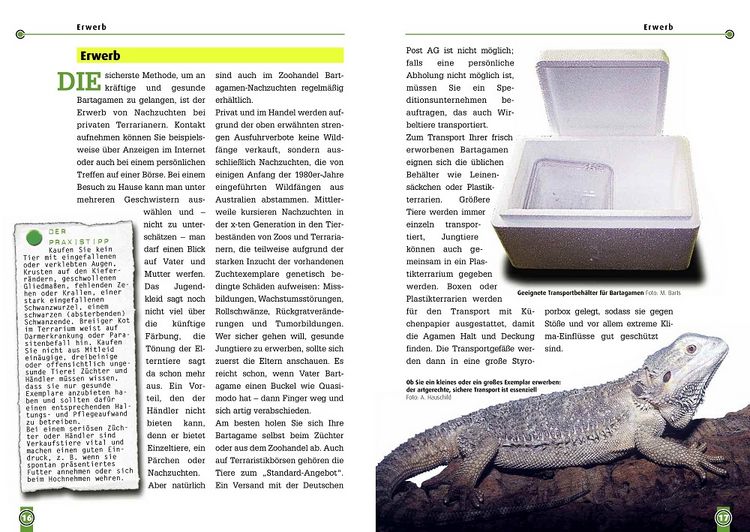 Produktbild: Die Bartagame