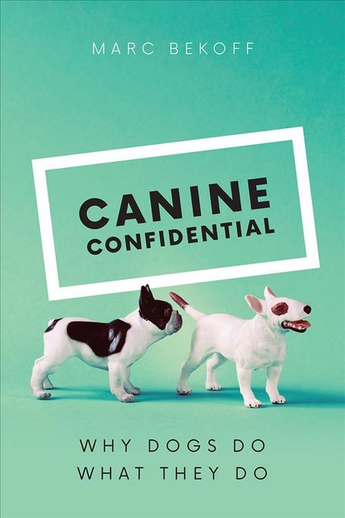 Produktbild: Canine Confidential