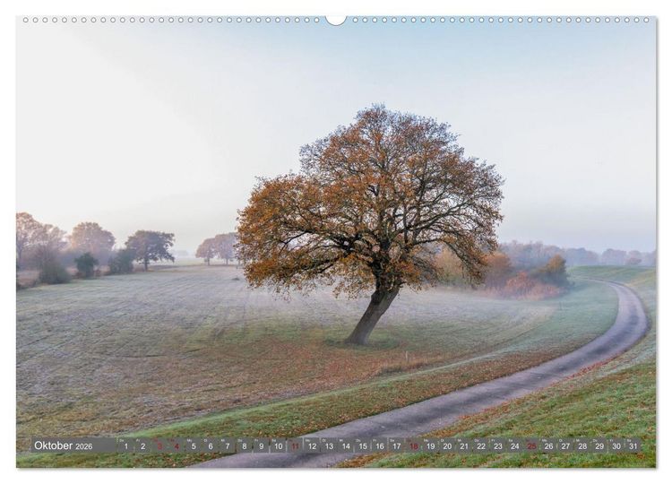 Produktbild: Naturlandschaft Elbe - Im Wechsel der Jahreszeiten (hochwertiger Premium Wandkalender 2026 DIN A2 quer), Kunstdruck in Hochglanz