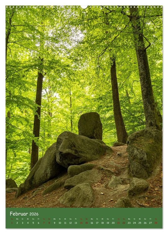 Produktbild: Ich bin dann mal im Wald (Wandkalender 2026 DIN A2 hoch), CALVENDO Monatskalender