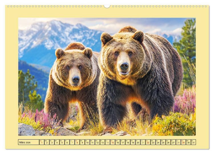 Produktbild: Im Herz der Wildnis. Die beeindruckende St&auml;rke und Stille der B&auml;ren (hochwertiger Premium Wandkalender 2026 DIN A2 quer), Kunstdruck in Hochglanz