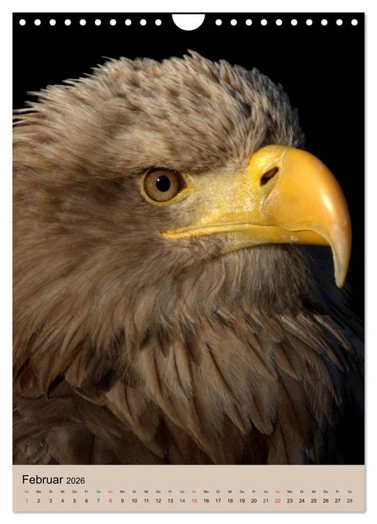 Produktbild: Raubv&ouml;gel - Die J&auml;ger der L&uuml;fte (Wandkalender 2026 DIN A4 hoch), CALVENDO Monatskalender