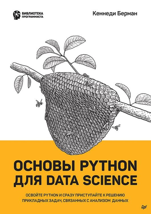 Produktbild: Osnovy Python dlya Data Science