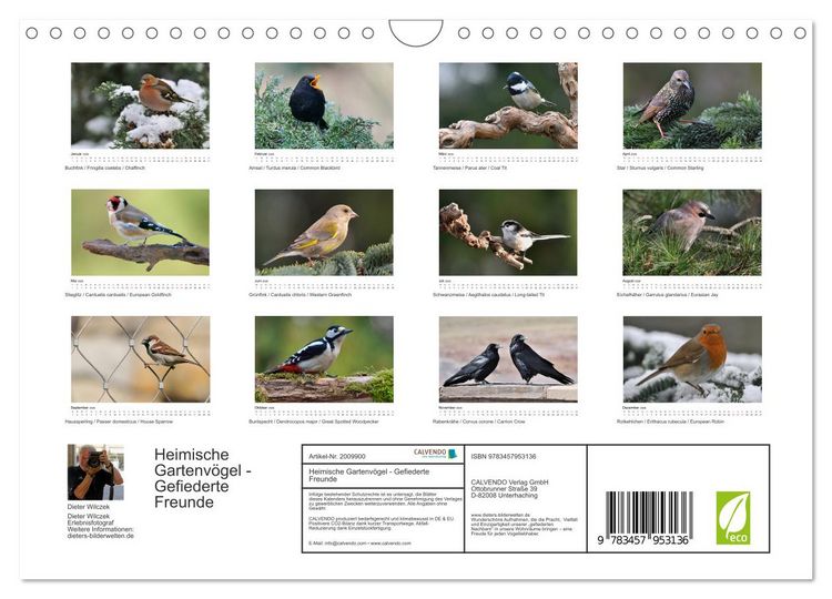 Produktbild: Heimische Gartenv&ouml;gel - Gefiederte Freunde (Wandkalender 2026 DIN A4 quer), CALVENDO Monatskalender