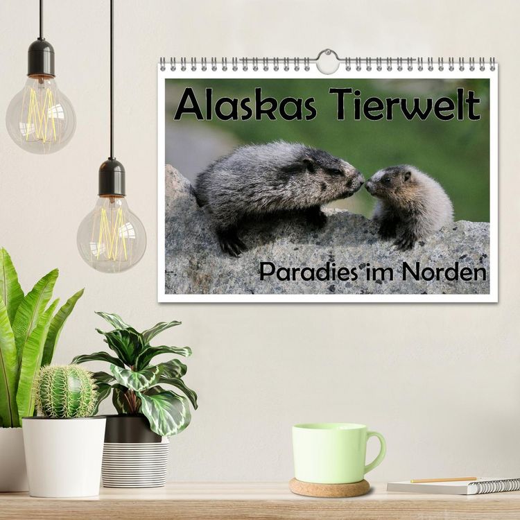 Produktbild: Alaskas Tierwelt - Paradies im Norden (Wandkalender 2026 DIN A4 quer), CALVENDO Monatskalender