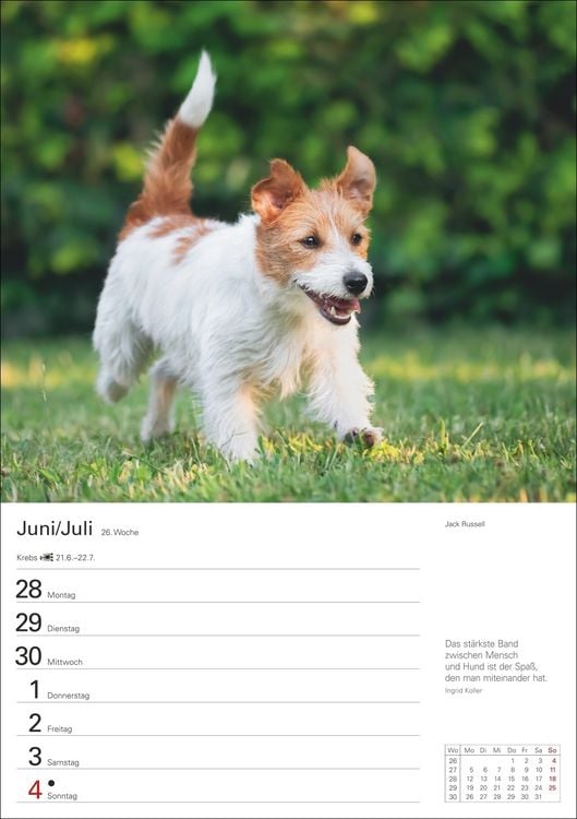 Produktbild: Hunde Wochenplaner 2027 - 53 faszinierende Fotografien