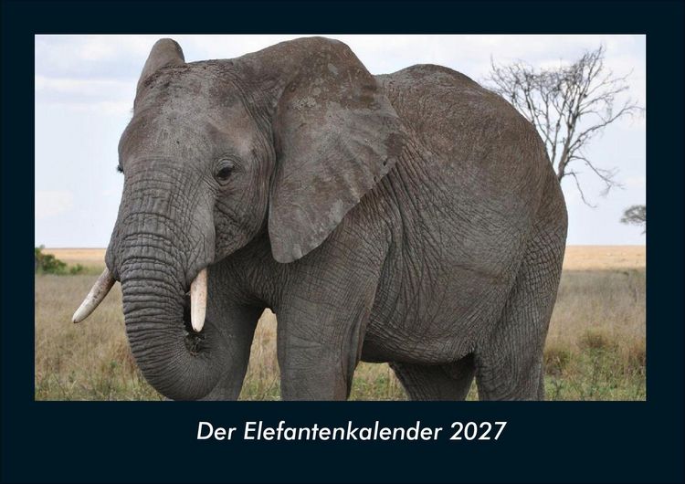Produktbild: Der Elefantenkalender 2027 Fotokalender DIN A4