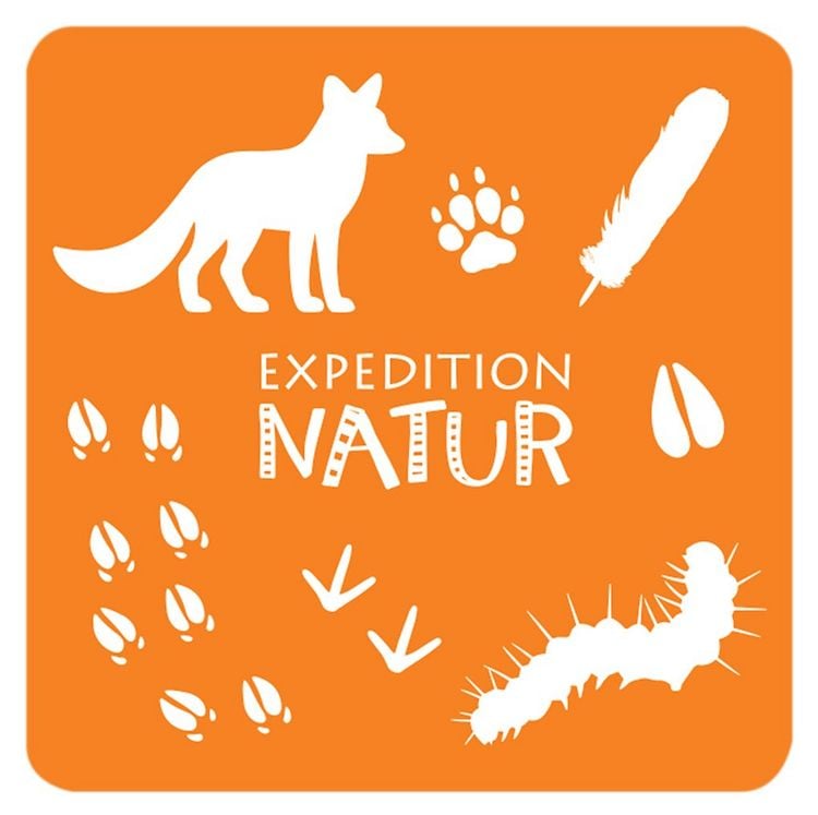 Produktbild: Das gro&szlig;e Tierspuren Memo
