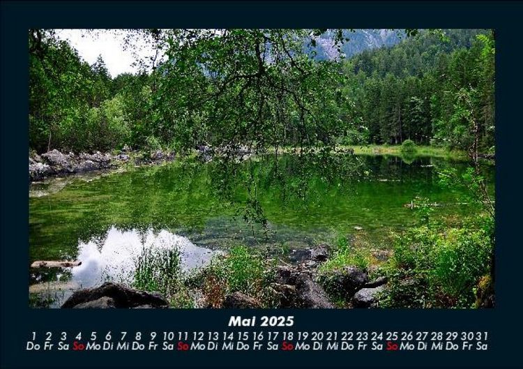 Produktbild: Pflanzen und Bl&uuml;ten 2025 Fotokalender DIN A5