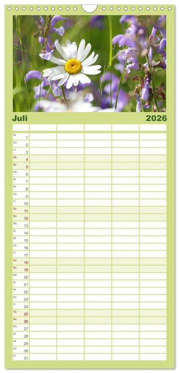 Produktbild: Familienplaner 2026 - Sanfte Natur mit 5 Spalten (Wandkalender, 21 x 45 cm) CALVENDO
