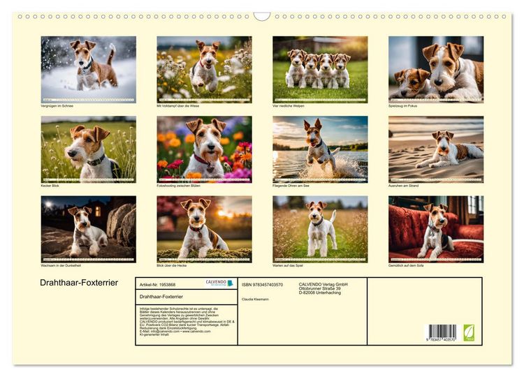 Produktbild: Drahthaar-Foxterrier (Wandkalender 2026 DIN A2 quer), CALVENDO Monatskalender
