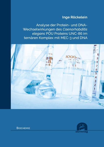 Produktbild: Analyse der Protein- und DNA- Wechselwirkungen des Caenorhabditis elegans POU Proteins UNC-86 im tern&auml;ren Komplex mit MEC-3 und DNA