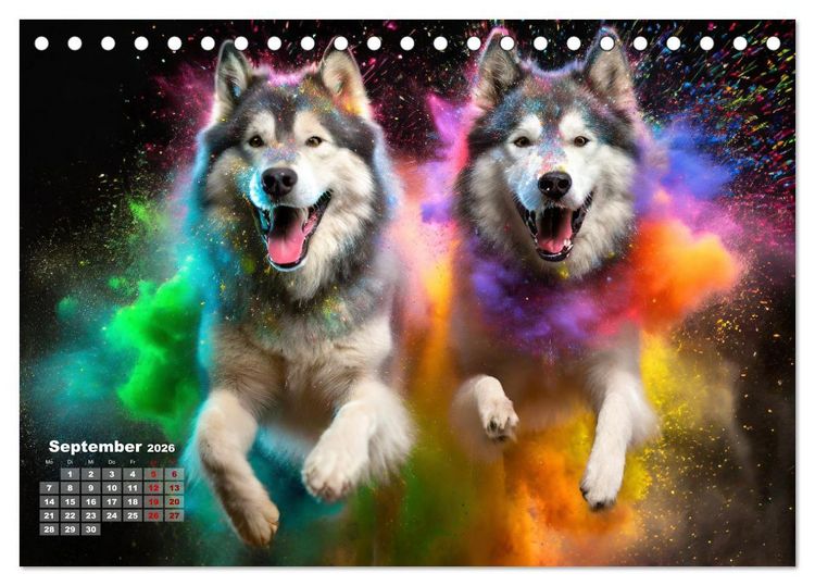 Produktbild: Holi Pulver - Doppelte Action (Tischkalender 2026 DIN A5 quer), CALVENDO Monatskalender
