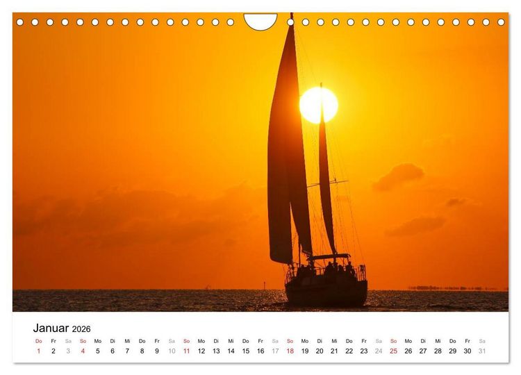 Produktbild: Unter der Sonne Floridas (Wandkalender 2026 DIN A4 quer), CALVENDO Monatskalender