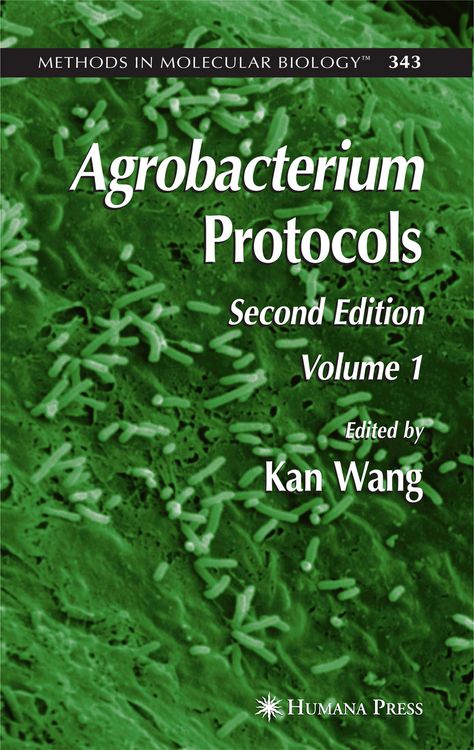 Produktbild: Agrobacterium Protocols