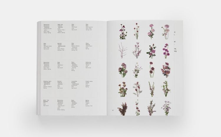 Produktbild: Flower Colour Guide
