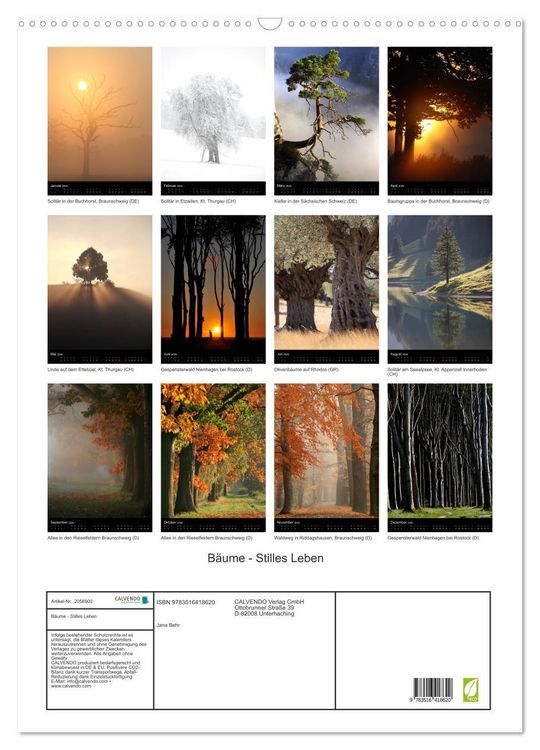 Produktbild: B&auml;ume - Stilles Leben (Wandkalender 2026 DIN A2 hoch), CALVENDO Monatskalender