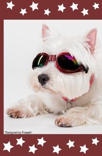 Produktbild: Notizb&uuml;cher / S&uuml;&szlig;es Hunde Notizbuch Businessplaner Geschenkidee f&uuml;r Mann Frau und Kind