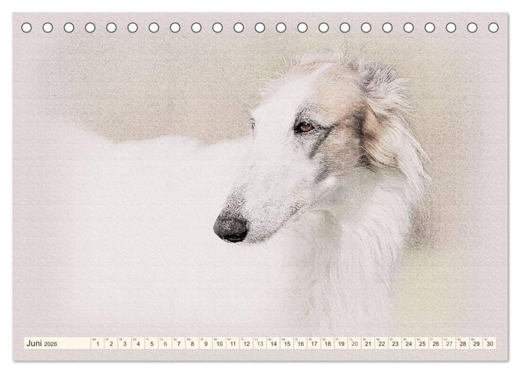 Produktbild: Windhunde 2026 (Tischkalender 2026 DIN A5 quer), CALVENDO Monatskalender