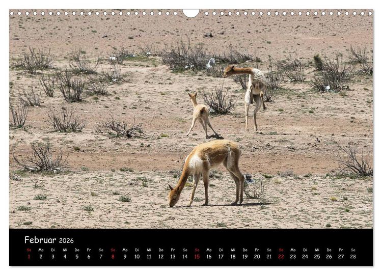 Produktbild: Traumziel Peru (Wandkalender 2026 DIN A3 quer), CALVENDO Monatskalender